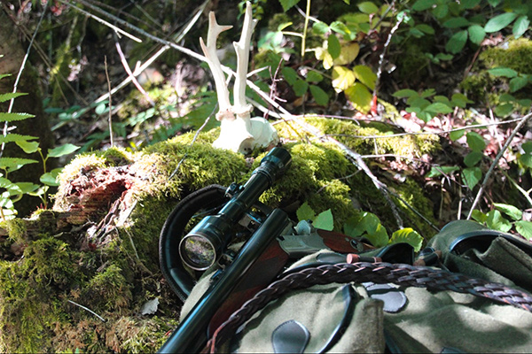 Jagdausrüstung im Wald