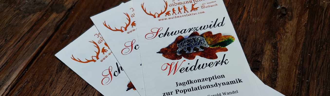 Jagdzentrum Waidmanufaktur Weiterführender Kurs Schwarzwild